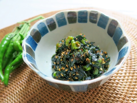 ご飯のお供に♪ 葉唐辛子の佃煮